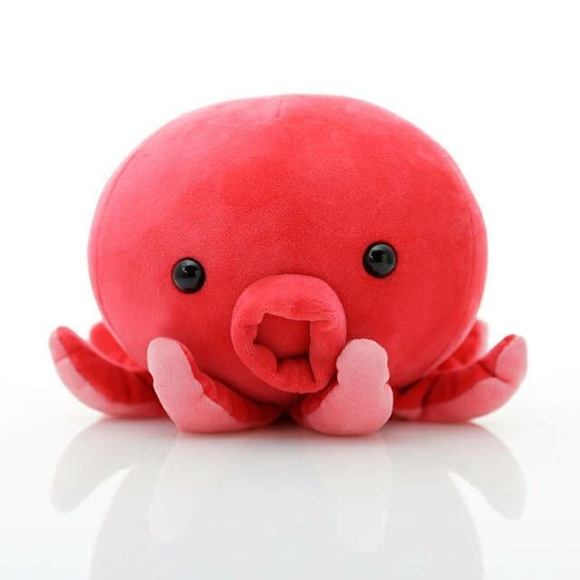 000000001527-01.jpg?size=l&w=