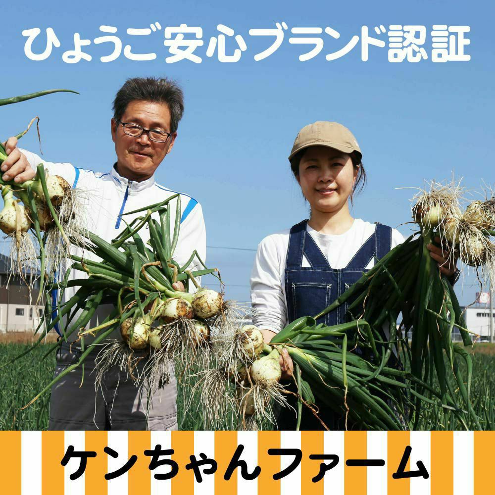 ケンちゃんファーム玉ねぎ3kg(通常購入の場合は(5/23～6/5頃)発送予定