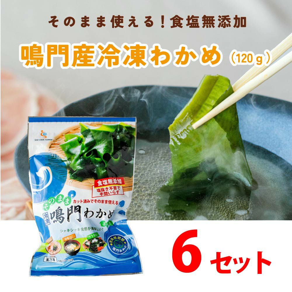送料無料】鳴門産冷凍わかめ（120g×6袋）塩抜き不要食塩無添加(定期