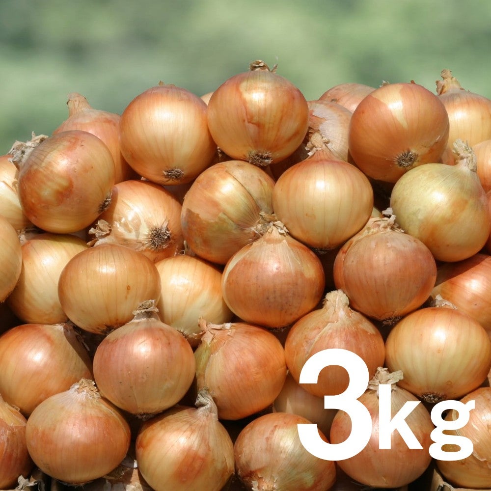 生産者指定なし】淡路島玉ねぎ3kg ※1週間以内に発送 | ショップうずの