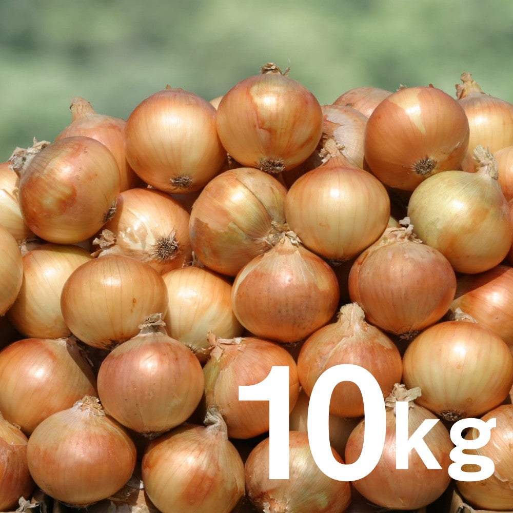 生産者指定なし】淡路島玉ねぎ10kg ※1週間以内に発送 | ショップうずの
